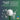 Spoonful of white powder with text about cellular energy and NSF certification on a green background